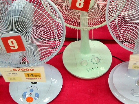 Korean Fans Closeup